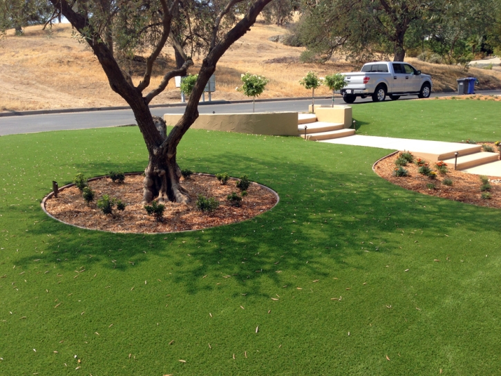 Grass Turf Calimesa, California Garden Ideas, Front Yard