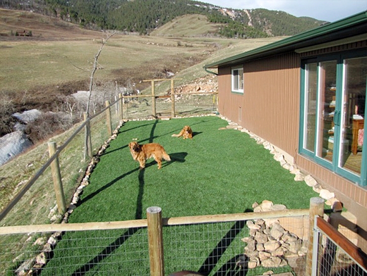 Grass Turf Mira Loma, California Gardeners, Backyard Landscaping Ideas