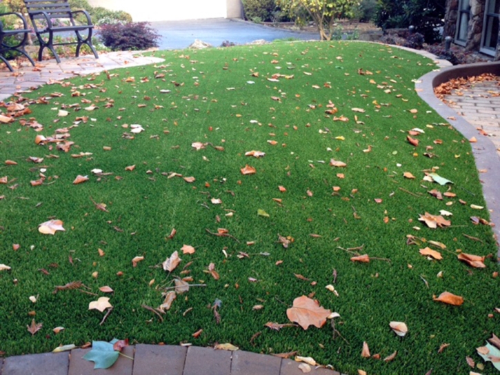 Grass Turf Mortmar, California Roof Top, Front Yard Ideas