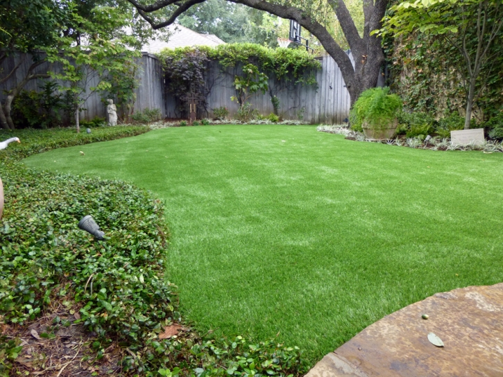 Grass Turf Norco, California Lawn And Landscape, Small Backyard Ideas