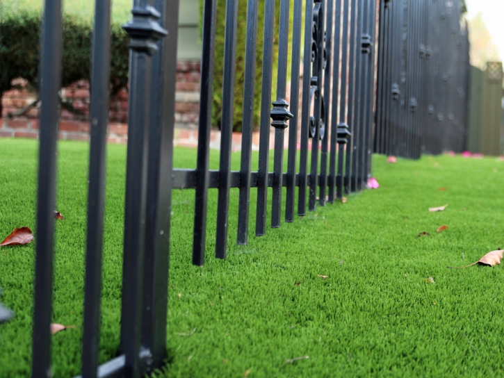 Green Lawn Palm Desert, California Lawns, Front Yard Landscaping