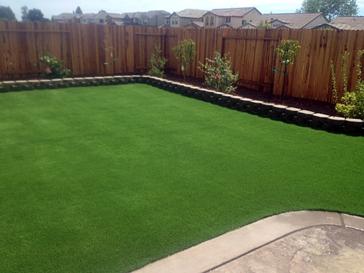 Installing Artificial Grass Beaumont, California City Landscape, Backyard Design