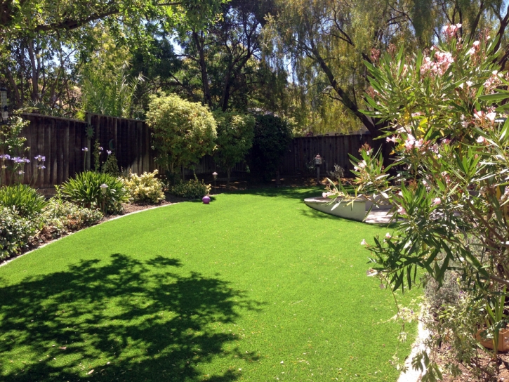 Lawn Services Homeland, California Landscaping, Backyard Landscape Ideas