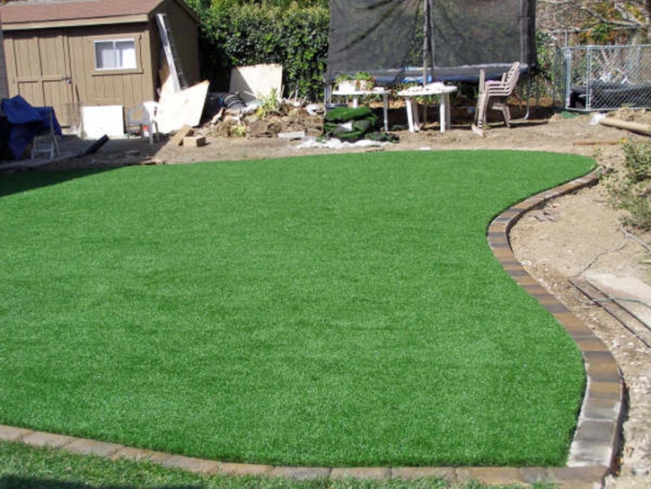 Outdoor Carpet Mead Valley, California Landscaping, Backyard Designs