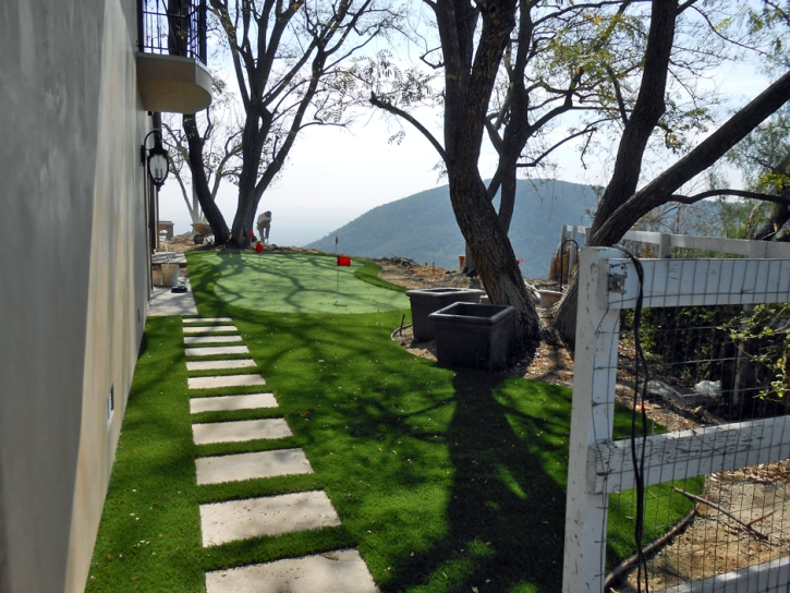 Outdoor Carpet Mortmar, California Artificial Putting Greens, Backyard Landscaping