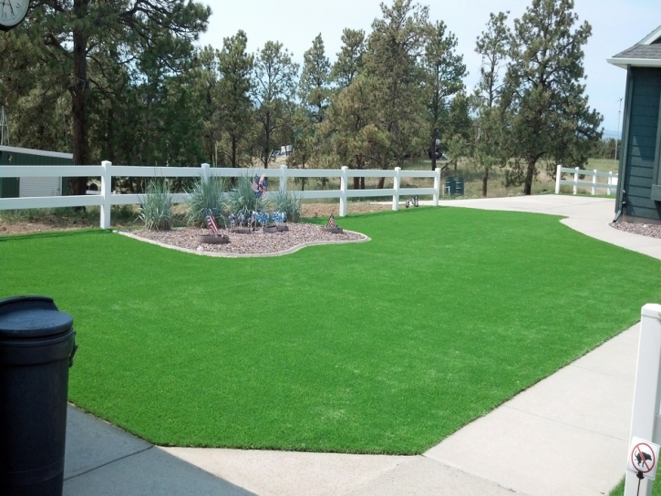 Outdoor Carpet Thermal, California Lawn And Garden, Front Yard Ideas