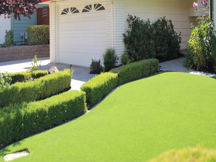 Plastic Grass Corona, California Landscaping, Small Front Yard Landscaping