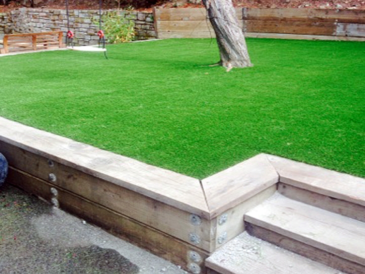 Plastic Grass Highgrove, California Design Ideas, Backyard