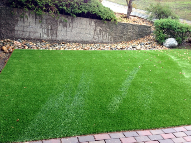 Plastic Grass Home Gardens, California Lawns, Backyard Design