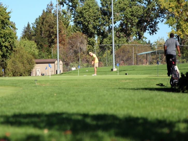 Plastic Grass La Quinta, California Golf Green, Commercial Landscape