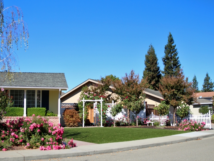 Plastic Grass Menifee, California Backyard Deck Ideas, Front Yard Ideas