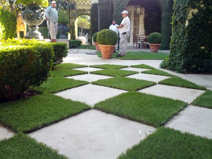 Plastic Grass Mira Loma, California Roof Top, Pavers