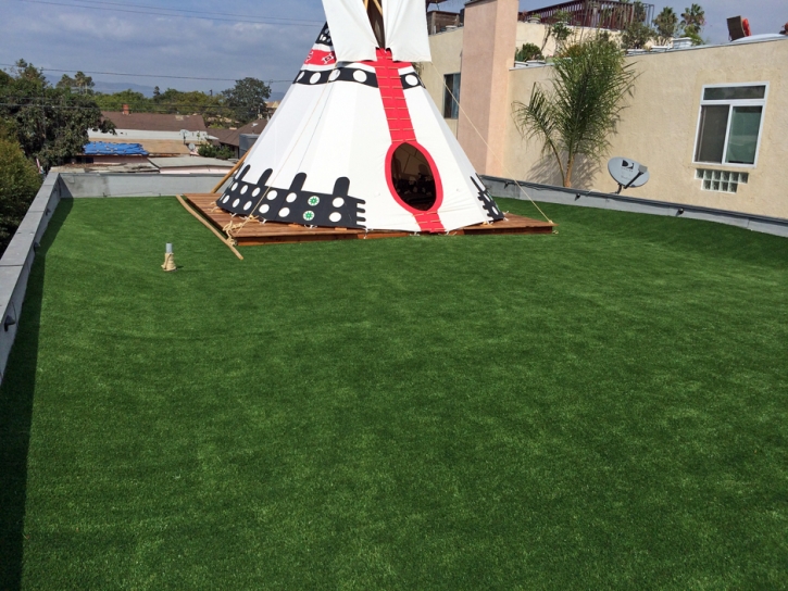 Plastic Grass Norco, California Garden Ideas, Veranda