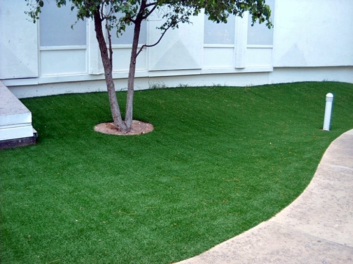 Plastic Grass Pedley, California Roof Top, Commercial Landscape