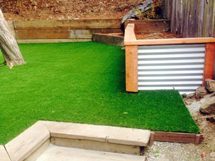 Synthetic Grass Bermuda Dunes, California Landscaping Business, Backyard Landscape Ideas