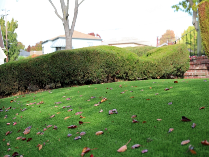 Synthetic Grass Cabazon, California Landscaping, Front Yard