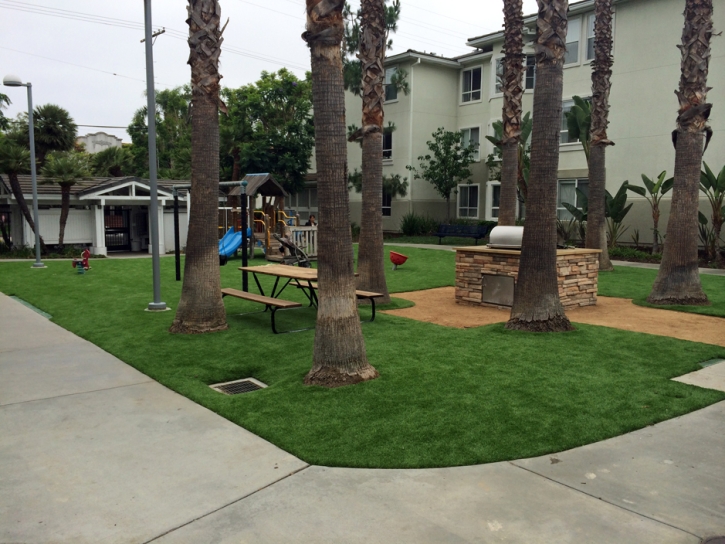 Synthetic Grass Cost Lake Elsinore, California Garden Ideas, Commercial Landscape