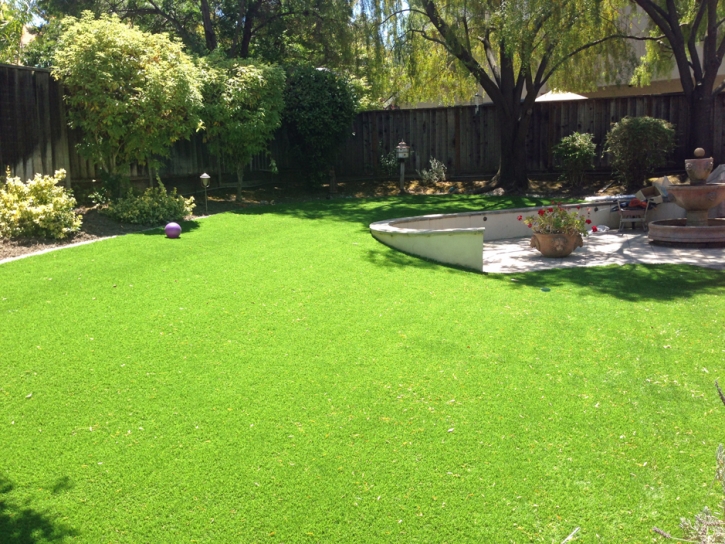 Synthetic Grass Cost Murrieta, California Landscaping, Backyard