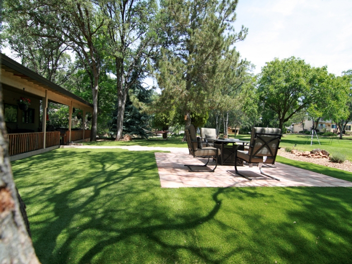 Synthetic Grass East Blythe, California Landscaping Business, Backyard Design