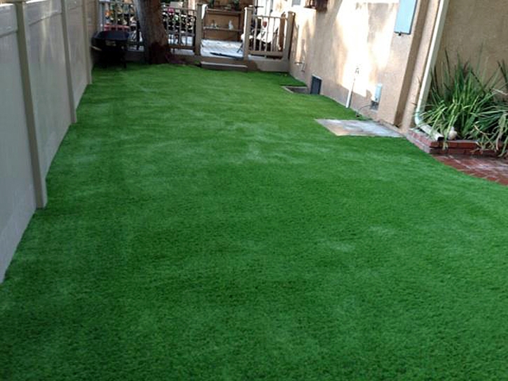 Synthetic Grass East Hemet, California Gardeners, Backyard