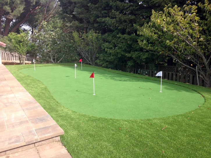 Synthetic Grass Home Gardens, California Putting Green Carpet, Backyard