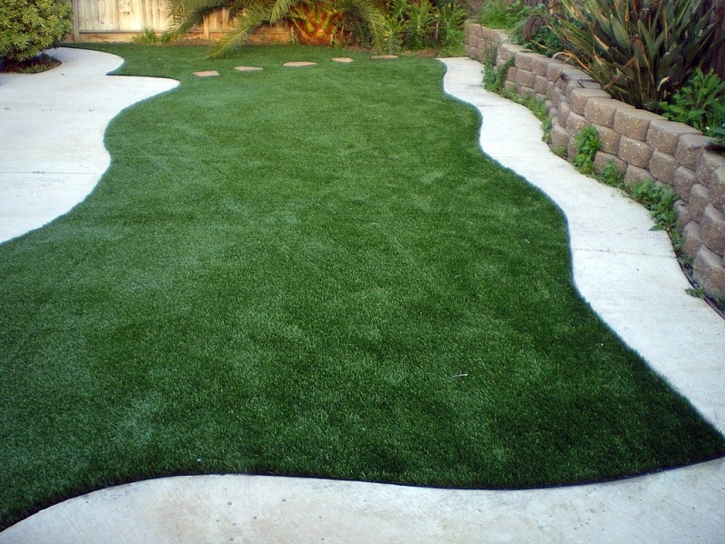 Synthetic Grass Lakeland Village, California Landscape Ideas, Backyard Ideas