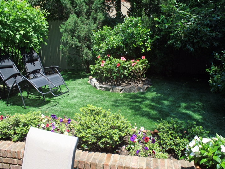 Synthetic Grass Mesa Verde, California Landscaping, Backyard Makeover