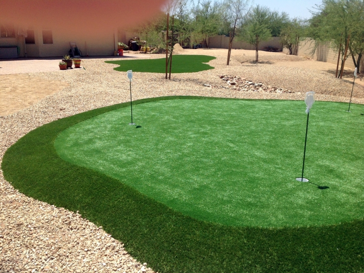 Synthetic Grass Mira Loma, California Backyard Putting Green, Beautiful Backyards