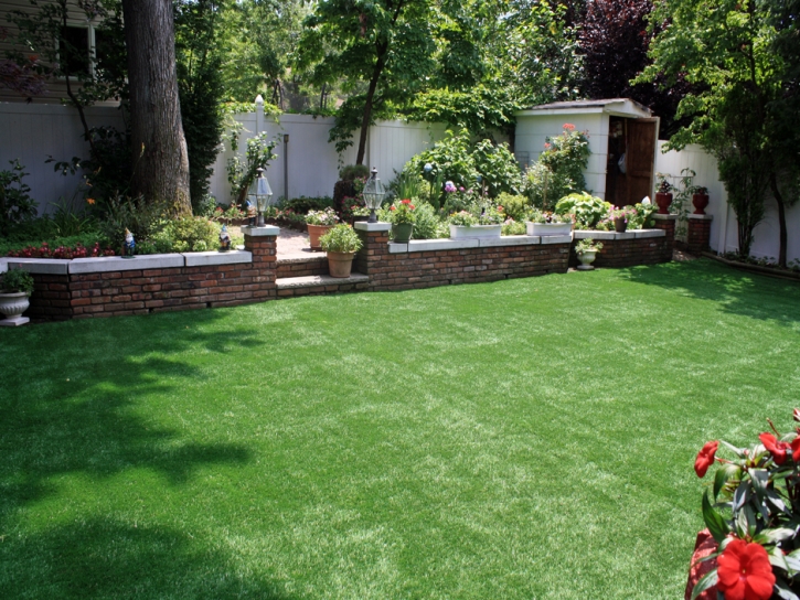 Synthetic Grass Temecula, California City Landscape, Backyard Landscaping Ideas