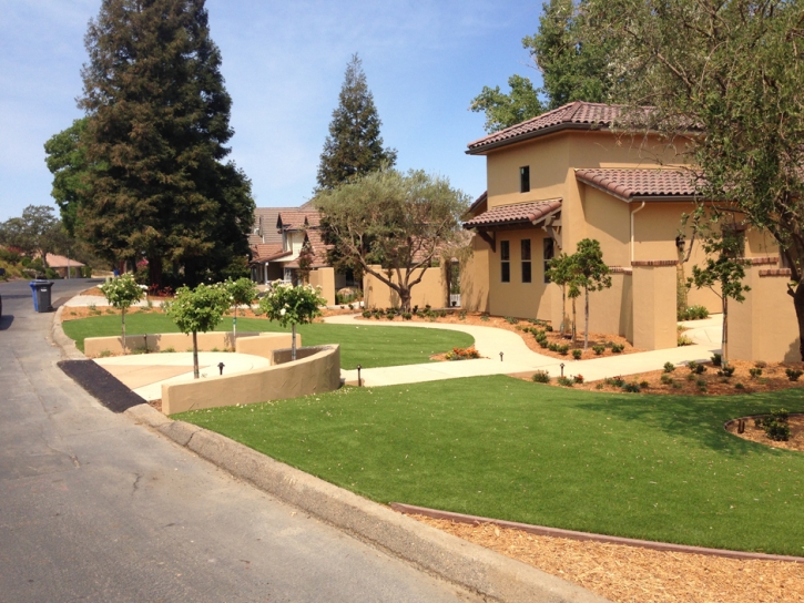 Synthetic Grass Winchester, California Roof Top, Landscaping Ideas For Front Yard