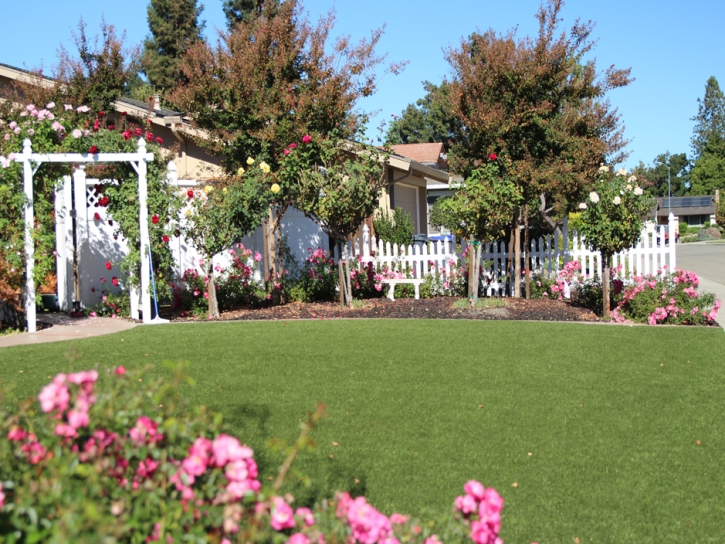 Synthetic Lawn Highgrove, California Lawn And Landscape, Front Yard Design