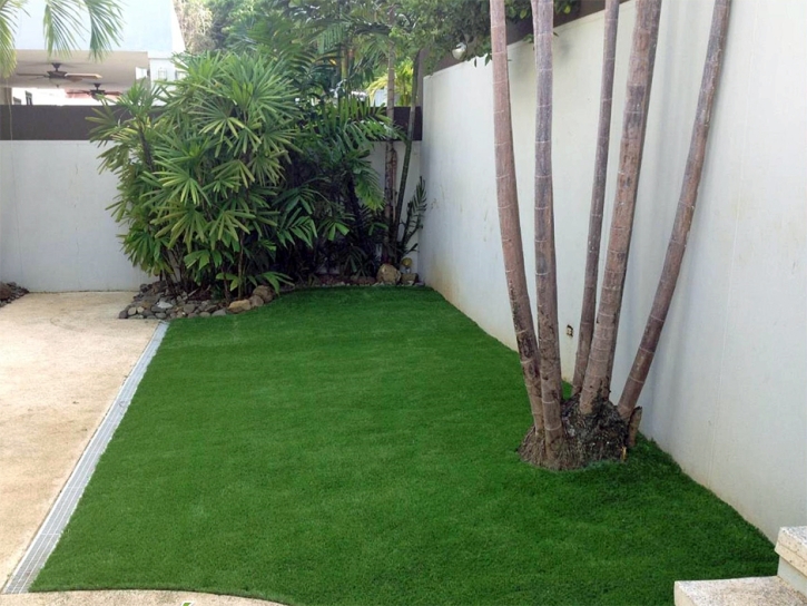 Synthetic Lawn Indio, California Lawn And Garden, Backyard Designs