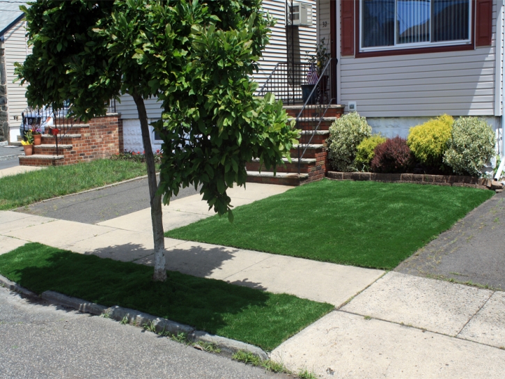 Synthetic Lawn Ripley, California Landscape Design, Landscaping Ideas For Front Yard