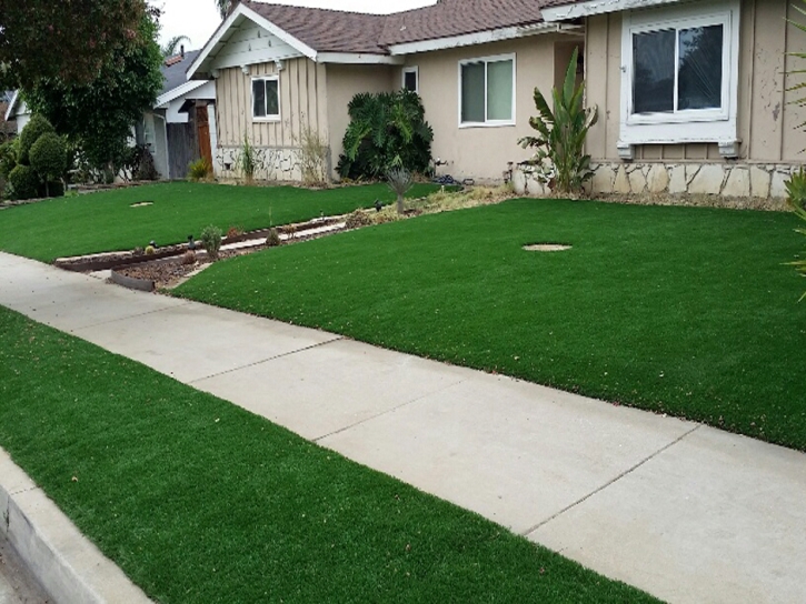 Synthetic Lawn San Jacinto, California Backyard Playground, Front Yard Design