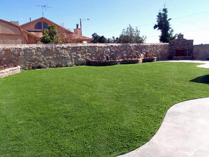 Synthetic Lawn Vista Santa Rosa, California Lawn And Garden, Backyards