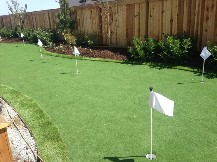 Synthetic Turf Anza, California Gardeners, Backyard Designs