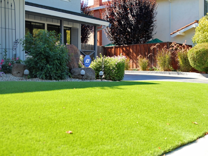 Synthetic Turf Good Hope, California Landscape Photos, Landscaping Ideas For Front Yard