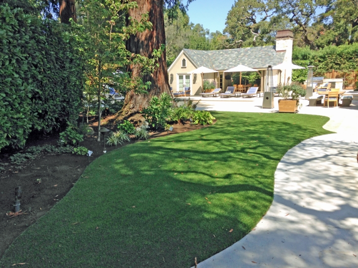 Synthetic Turf Hemet, California City Landscape, Commercial Landscape