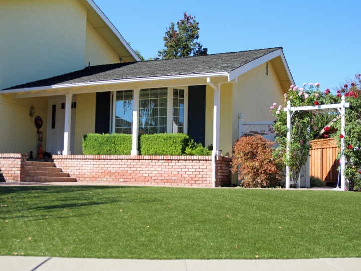 Synthetic Turf Homeland, California Lawn And Garden, Front Yard Design