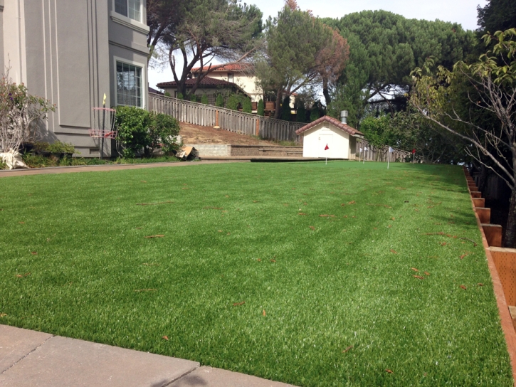 Synthetic Turf Ripley, California Backyard Putting Green, Backyard Landscaping Ideas