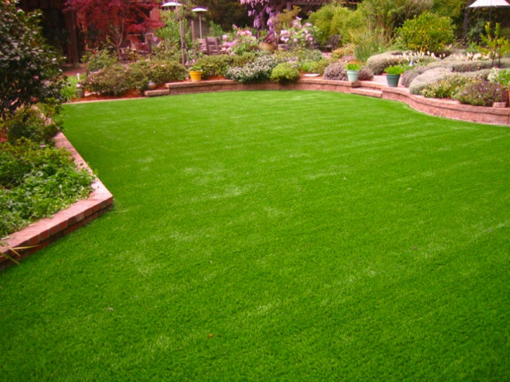 Synthetic Turf Sedco Hills, California Landscape Design, Backyard Landscaping