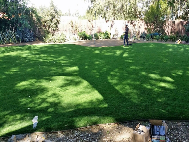 Synthetic Turf Supplier Cabazon, California Roof Top, Backyard Landscaping