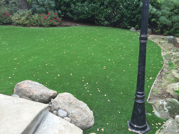 Synthetic Turf Supplier Cathedral City, California Design Ideas, Backyards