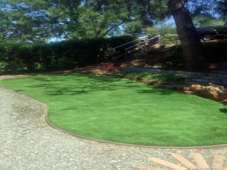 Synthetic Turf Supplier Garnet, California Home And Garden, Backyard Landscaping