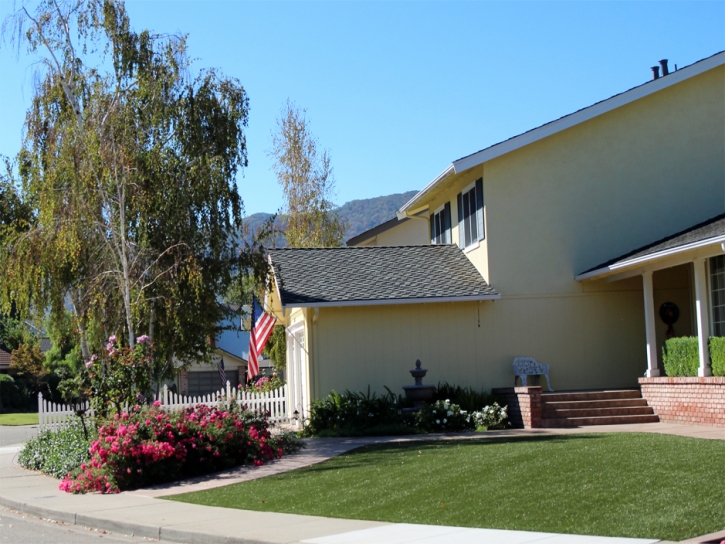 Synthetic Turf Supplier Garnet, California Backyard Playground, Front Yard Landscaping