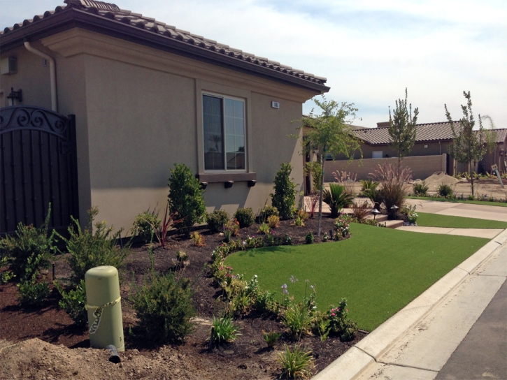 Synthetic Turf Supplier Glen Avon, California Rooftop, Front Yard Landscape Ideas