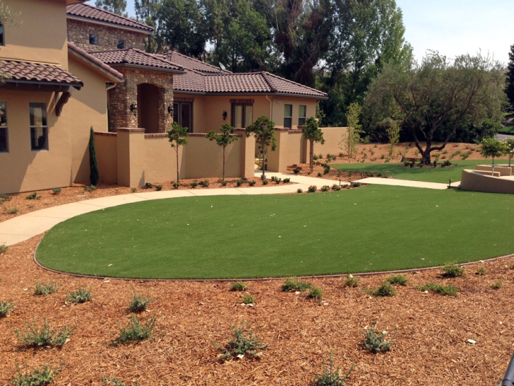 Synthetic Turf Supplier Pedley, California Lawns, Front Yard Landscape Ideas