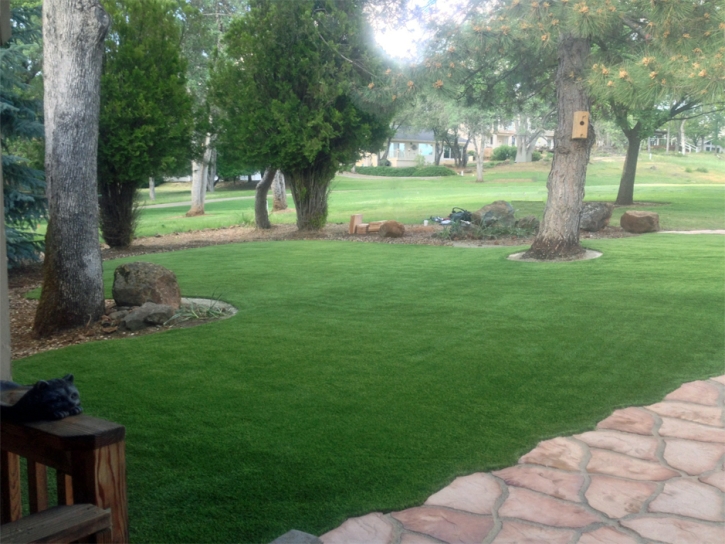 Synthetic Turf Supplier Sky Valley, California City Landscape, Front Yard