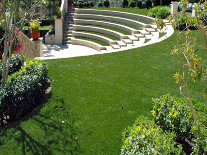 Synthetic Turf Supplier Thermal, California Landscape Ideas