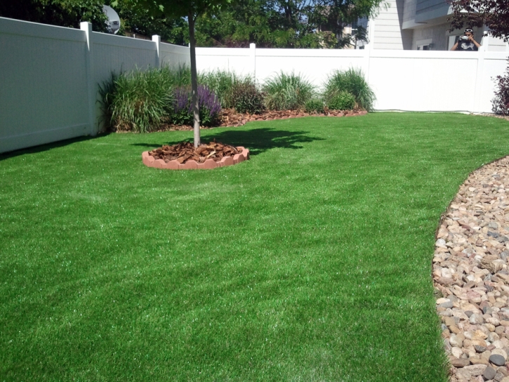 Synthetic Turf Temecula, California Garden Ideas, Backyard Design